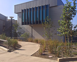 Crafton Hills College Landscape